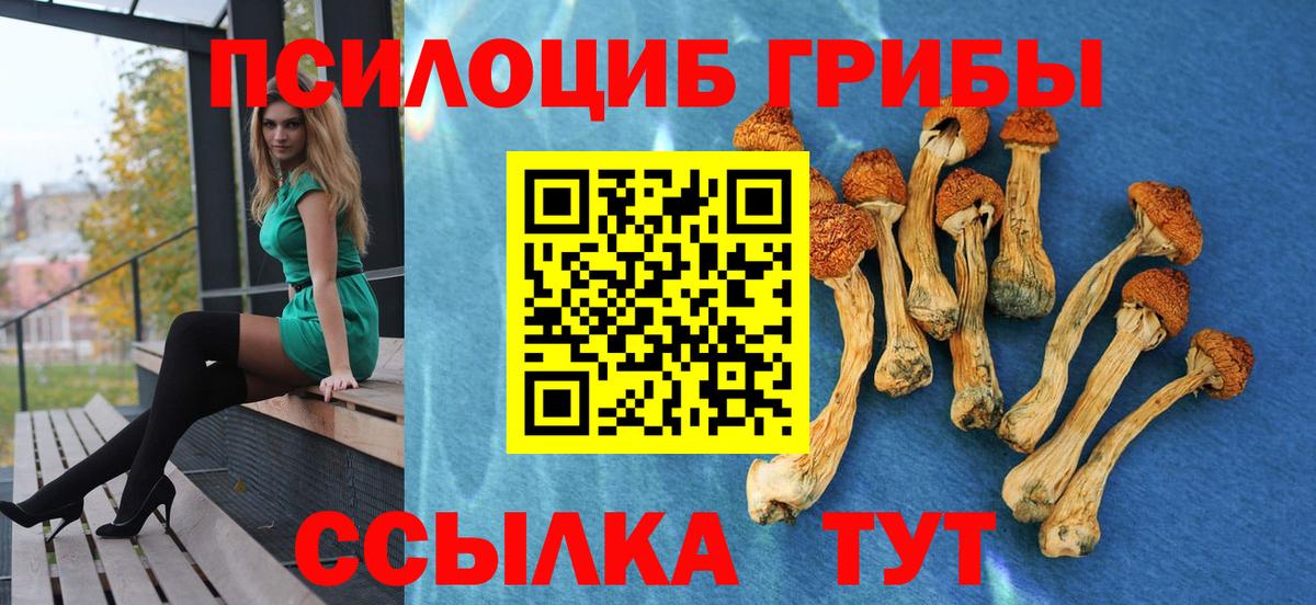 Галлюциногенные грибы прущие грибы Кувандык